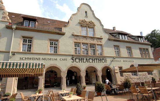 Schwein des Monats