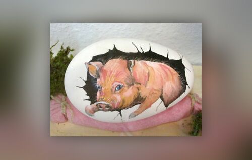 Schwein des Monats