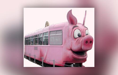 Kindergeburtstag im SchweineMuseum