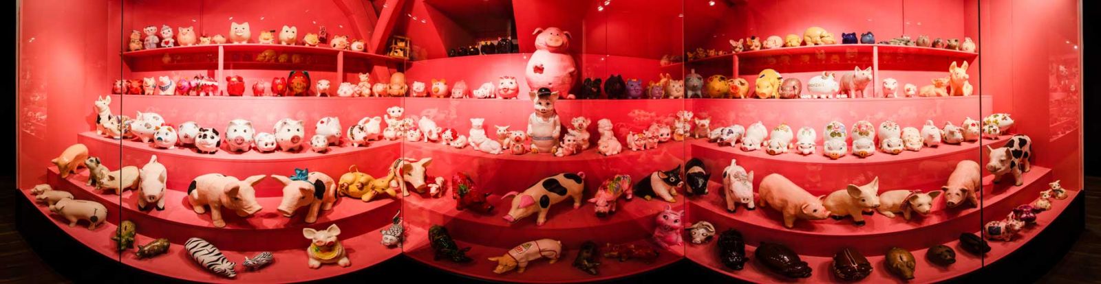 Wildschweinwald im SchweineMuseum